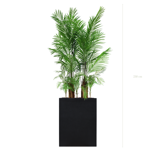 [A-PT2-FB2] The Areca M. Black Divider   #Artificial