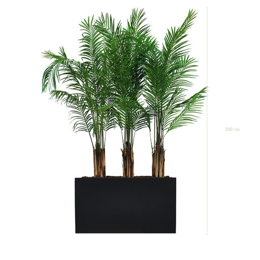 [A-PT2-FB5] The Areca S. Black Divider  #Artificial