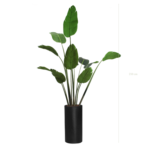 [A-PT3-FB17] The Banana Tree in a tall black cylinder pot #Artificial