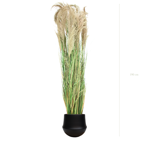 [A-PT7-CE10] The Tall Pampa in a black round pot #Artificial