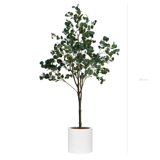 [A-AB7-FB22] L'Eucalyptus - Cylindre Blanc #Artificiel