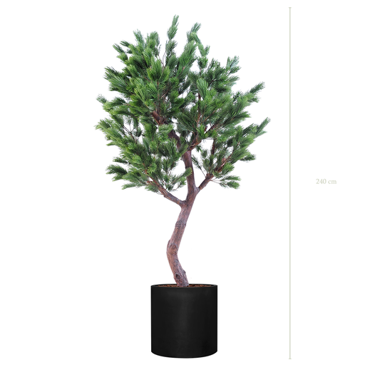 [A-AB5-FB25] Le Pin 240 - Cylindre Noir #Semi-naturel
