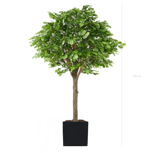 [A-AB9-FB9] The Oak Tree H. 230 cm in a black square pot #Artificial