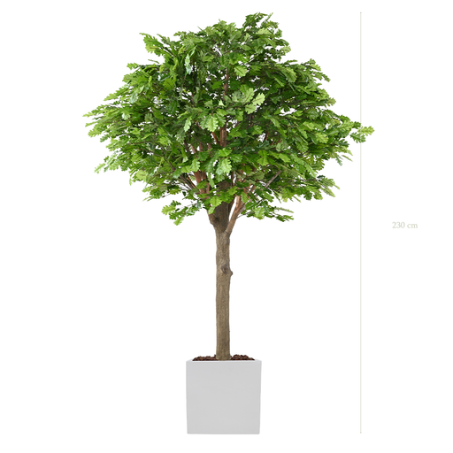 [A-AB9-FB10] Le Chêne 230 - Cube Blanc #Artificiel
