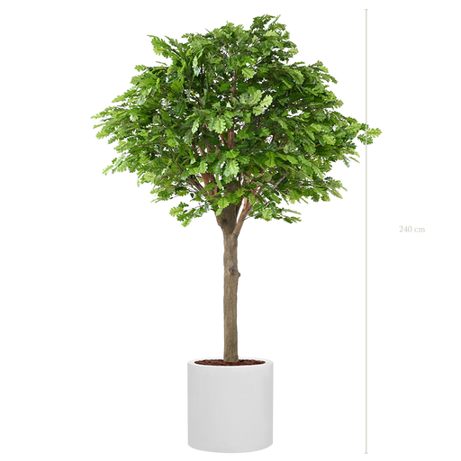 [A-AB9-FB24] Le Chêne 230 - Cylindre Blanc #Artificiel