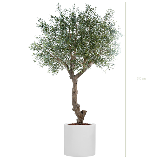 [A-AB2-FB26] The Tall Olive tree in a white cylindrical pot #Artificial