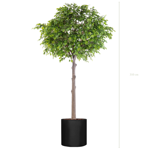 [A-AB10-FB27] The Oak Tree H. 320 cm in a Black Cylindrical Pot #Artificial