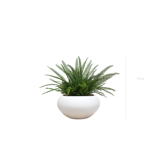 [A-TG10-FB14] La Fougère - Pot Ovale Blanc #Artificiel