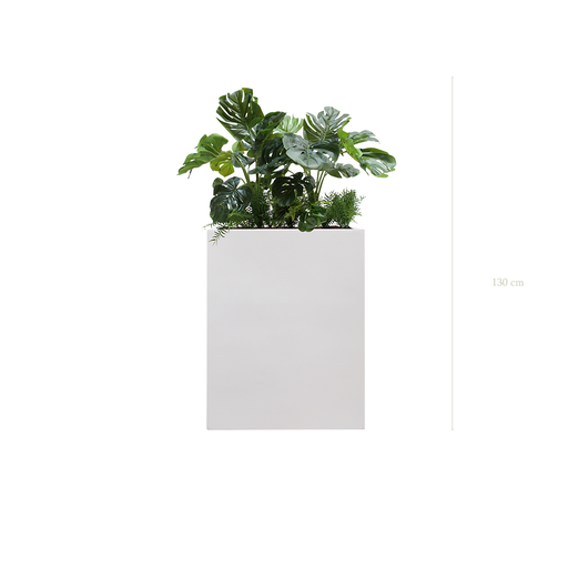 [A-J2-FB1] Séparateur M. Monstera - Bac Blanc #Artificiel