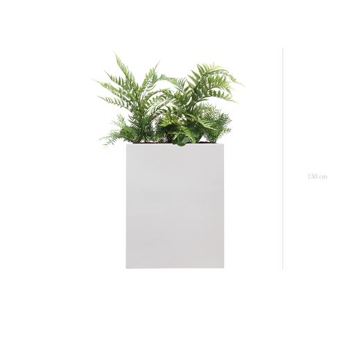 [A-J1-FB1] Séparateur M. Amazonie - Bac Blanc #Artificiel