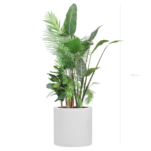 [A-J7-FB26] The Borneo White Large Round Planter #Artificial
