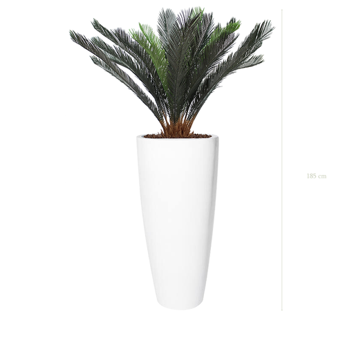 [A-PT14-FB21] The Cycas in a tall round white pot #Artificial