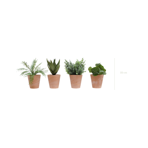 [A-PP4-TC1] Set of 4 plants in terracotta pots #Artificial