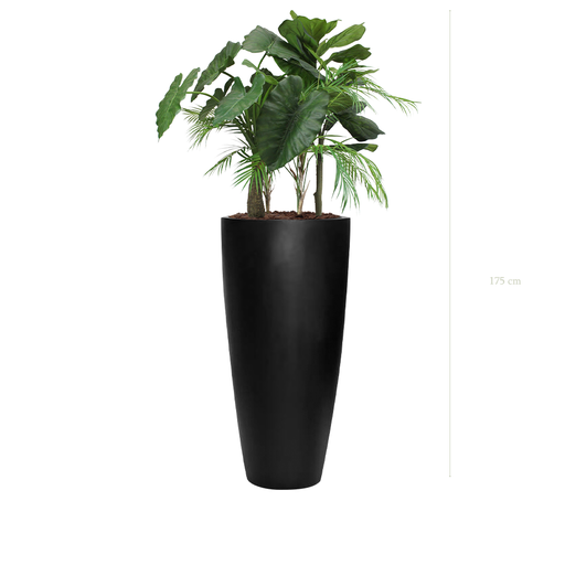 [A-J9-FB28] The Palawan in a Tall Rounded Black Pot #Artificial