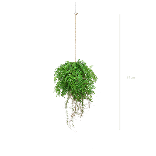 [A-SP35-PF] Hanging H. 35 cm #Artificial