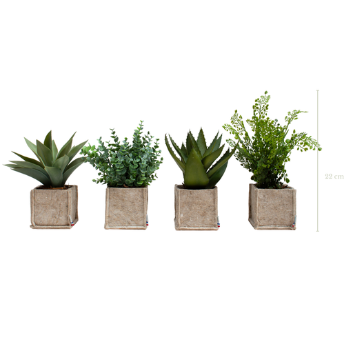 [A-PP2-TI1] Set of 4 plants in beige fabric pot #Artificial