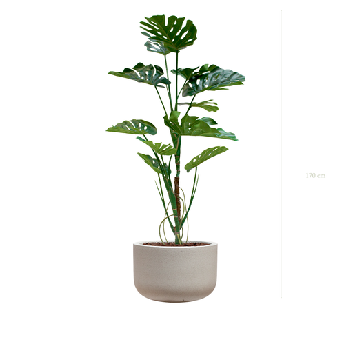 [A-PT17-FC17] La Monstera - Pot Sable #Artificiel