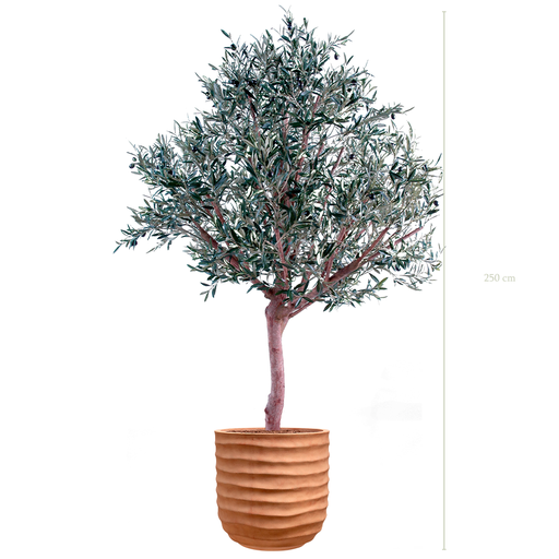 [A-AB1-FC16] L'Olivier 250 - Pot Terracotta - Artificiel
