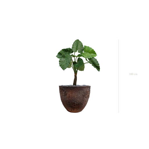 [A-PT5-FC7] Le Petit Alocasia - Pot Oyster #Artificiel