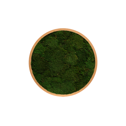 The Circular Plant Wall Frames #Stabilized