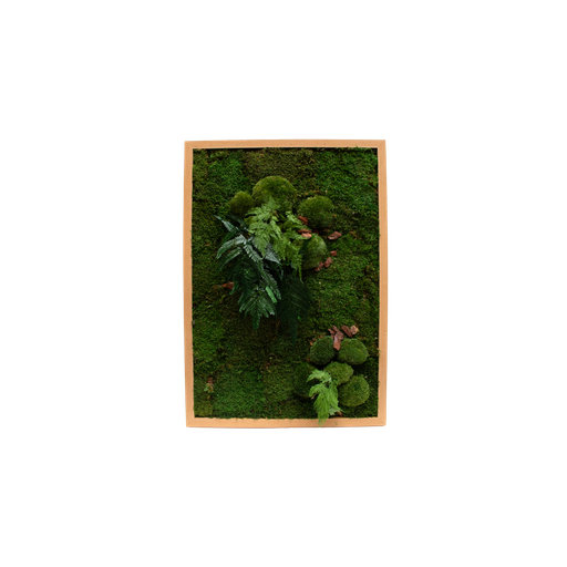 The planted frames #Stabilized