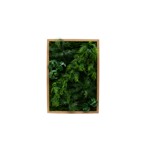 The planted frames #Artificial