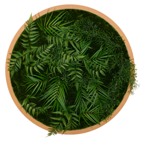 The Circular Plant Wall Frames #Artificial