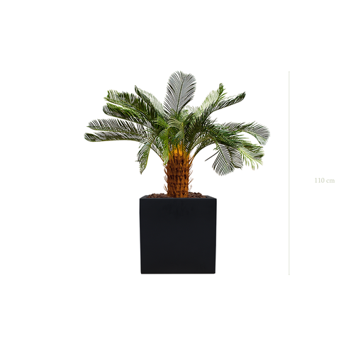 [A-PT21-FB7] Le Petit Cycas - Cube Noir #Artificiel