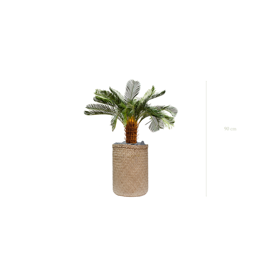 [A-PT21-TR2] Le Petit Cycas - Pot Tressé #Artificiel
