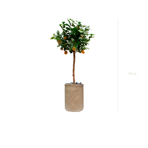 [A-PT20-TR2] Le Citronnier - Pot Tressé #Artificiel