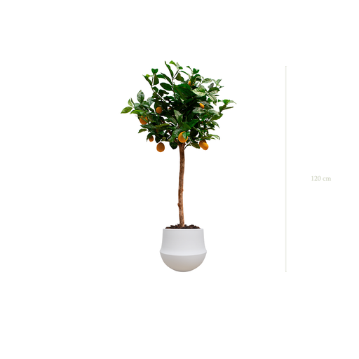 [A-PT20-CE1] The Lemon tree in a white oval pot #Artificial