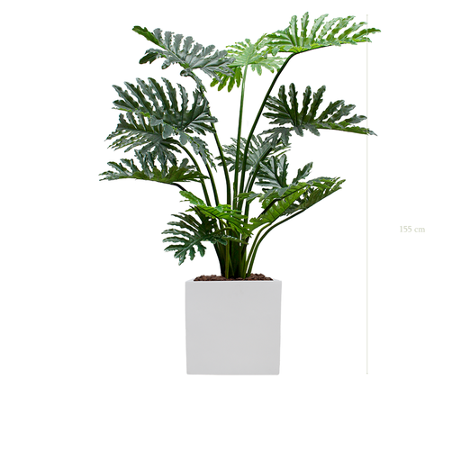 [A-PT22-FB10] der Philodendron - weißer kubischer Topf #künstlich