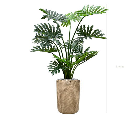 [A-PT22-TR3] Le Philodendron - Pot Tressé #Artificiel