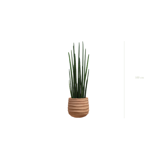 [A-PT12-FC12] Le Sansevieria - Pot Terracotta #Artificiel