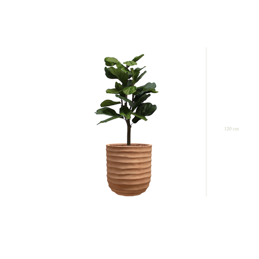 [A-PT1-FC15] Le Lyrata - Pot Terracotta #Artificiel