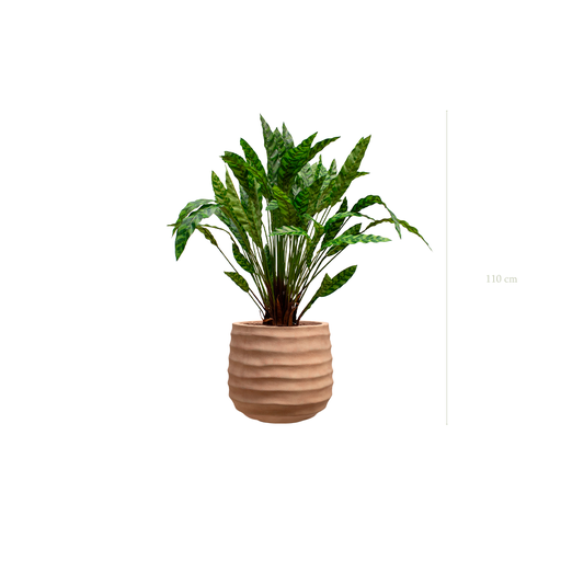 [A-PT19-FC13] die Calathea-Pflanze - Terracotta Topf #künstlich