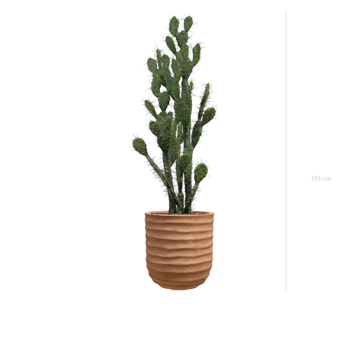 [A-PT11-FC15] Le Cactus - Pot Terracotta - Artificiel