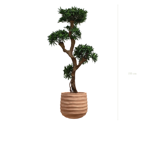 [A-PT8-FC13] Le Podocarpus - Pot Terracotta #Artificiel
