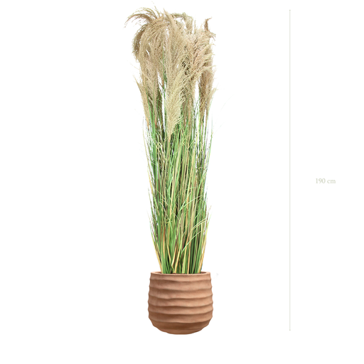 [A-PT7-FC13] The Tall Pampa in a terracotta pot #Artificial