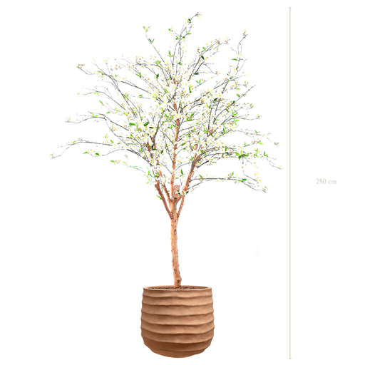 [A-AB3-FC14] The Cherry Tree in a terracotta pot #Semi-natural