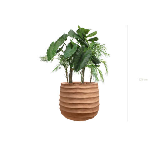 [A-J9-FC14] The Palawan in a terracotta pot #Artificial