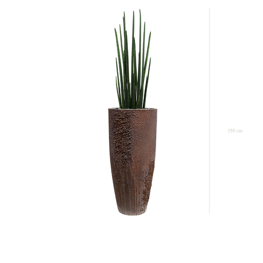 [A-PT12-FC10] Le Sansevieria - Pot Oyster #Artificiel