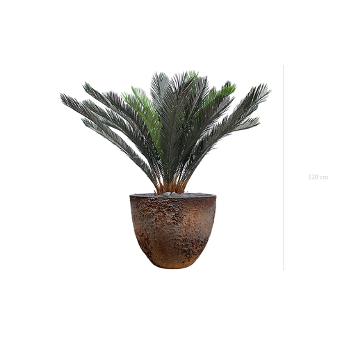 [A-PT14-FC8] Le Cycas - Pot Oyster #Artificiel