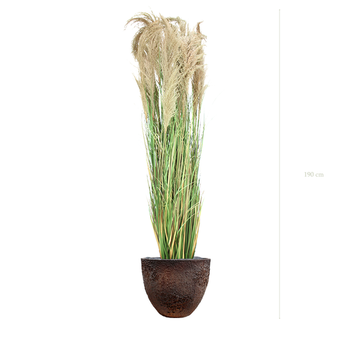 [A-PT7-FC7] La Grande Pampa - Pot Oyster #Artificiel