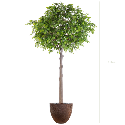 [A-AB10-FC9] Le Chêne 310 - Pot Oyster #Artificiel