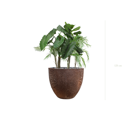 [A-J9-FC9] La Palawan - Pot Oyster #Artificiel