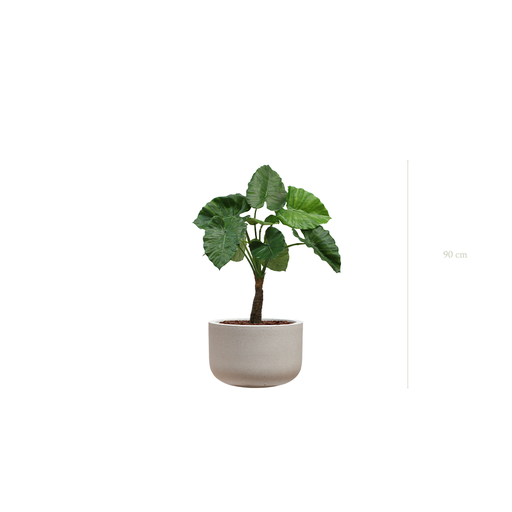 [A-PT5-FC17] The Alocasia in a mineral grey pot #Artificial
