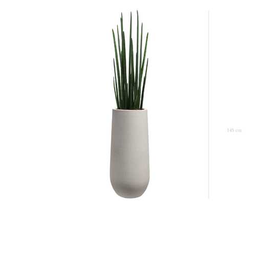[A-PT12-FC21] Le Sansevieria - Pot Sable #Artificiel