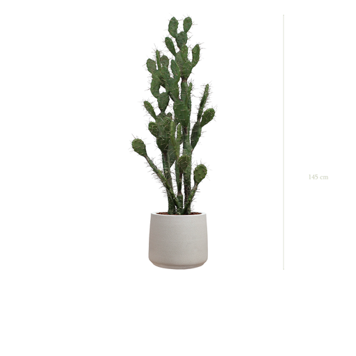 [A-PT11-FC19] The Cactus in a mineral grey pot #Artificial