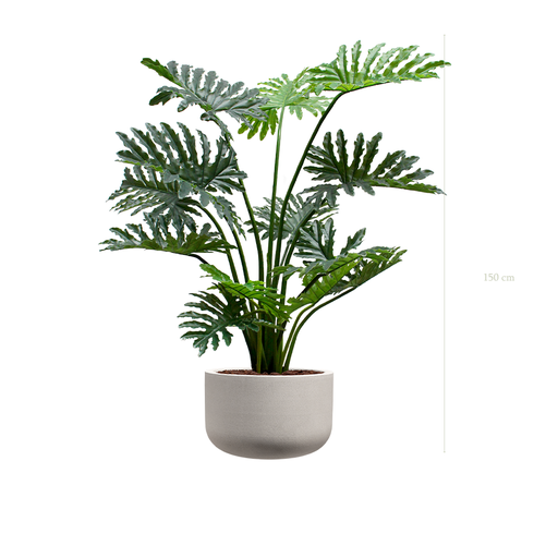 [A-PT22-FC18] The Philodendron in a mineral grey pot #Artificial